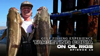 Cobia Fishing: Gulf of Mexico Oil Rig Fishing | Cobia Fishing in the Gulf | Landed Fishing