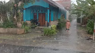 Heavy Rain Thunderstorm in my village |  Super heavy rain in the village is very cold-Indorainfall