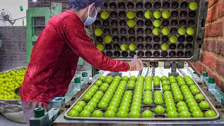 Amazing WayThey Produce Millions of Tennis Balls Every Year