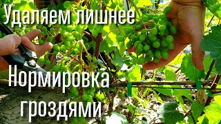 Нормировка гроздями. Удаляем ЛИШНИЕ грозди.  Нагрузка виноградного куста