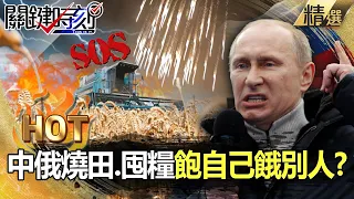 The Russian-Ukrainian war became the last straw to crush the "food shortage"? !
