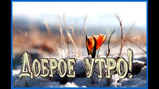 С добрым зимним утром! Пожелание доброго утречка и хорошего дня!