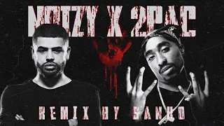 Noizy X 2Pac-Remix (remix.by sanko)