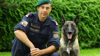 Planet Wissen - Tierische Beamte, Polizeihunde