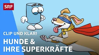 Was können Hunde alles? | Clip und klar! | SRF Kids – Kindervideos