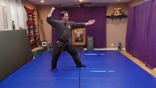 Ninja Flow Drill - Stances