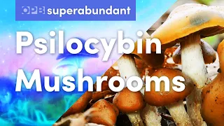 Psilocybin mushrooms, the psychedelic underground & community care in Oregon | Superabundant S2 E6