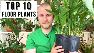 Top 10 Floor Plants