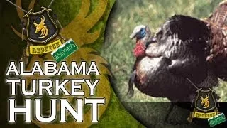 Alabama Turkey Hunt