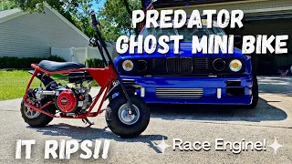 Predator Ghost Mini Bike Build! The Ultimate Pit Bike! *Race Engine*