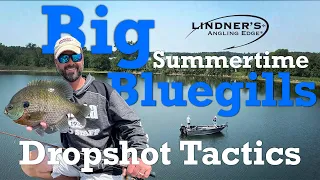 Dropshotting Summertime Bluegills!