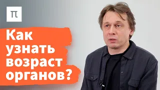 Эпигенетические часы — Вадим Гладышев / ПостНаука