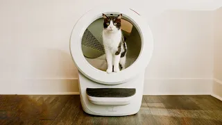 Top 5 Best Self Cleaning Litter Boxes for Cats In 2024