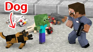 Monster School : Please don't kill the dogs - Sad Story - Minecraft Animation