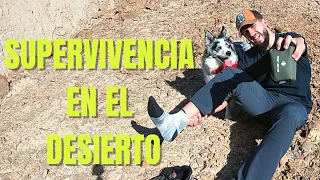 🆘CÓMO SOBREVIVIR EN EL DESIERTO. ⚠️TIPS DE SUPERVIVENCIA