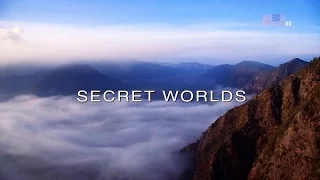 Wildest Islands of Indonesia - Series 1 - Episode 4 of 5: Secret Worlds