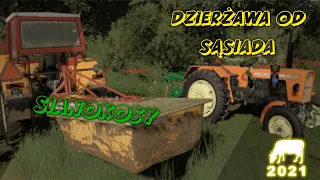 🐄 SIANOKOSY 🐄 | KOSZENIE I PRZETRZĄSANIE TRAWY | DZIERŻAWA OD SĄSIADA! 👨🏻‍🌾 | Farming Simulator 2019