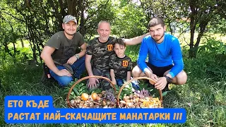 Ето къде растат най-скачащите #манатарки!