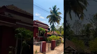 Streets of Goa in Summers ☀️🕶️🌴🌴 (Goa May’23) PT-31 #Goa #summer #street