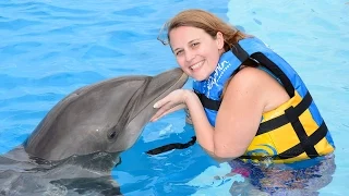 Dolphin Encounter | Punta Cana Tours
