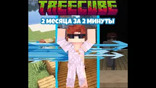 первые 2 месяца жизни на TreeCube!