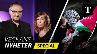 Hur kan Hamas massaker firas på svenska gator? | Veckans nyheter special (textat)