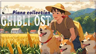 Start your day feeling relaxed and full of energy by the best Studio Ghibli songs🤗Have A Good Day🤩🤩🤩