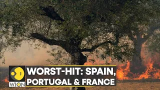 WION Climate Tracker: Extreme heat fuels blazes across Europe | International News