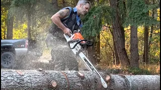 How to Buck Firewood with a Stihl ms 362, what Bar?