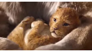 Lion king movie real life parody