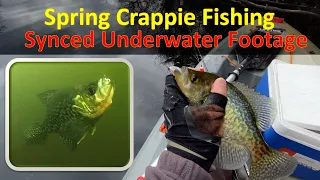 Underwater: See HOW Spring Crappies Bite Jigs (Ultraclear, 10 Fish in 10 min!)