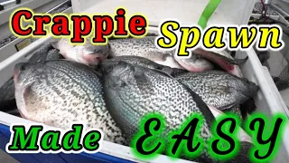 SPAWNING CRAPPIE MADE EASY, FISHING, HOW TO BEST TIPS