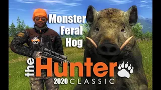 Monster Feral Hog - theHunter Classic