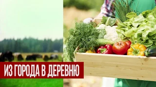 Из города в деревню. Новый аграрный проект Алексея Смирнова