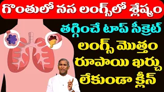 🅻🆄🅽🅶🆂 🅲🅻🅴🅰🅽🆂 | గొంతులో నస లంగ్స్ లో శ్లేష్మం తగ్గించే టాప్ సీక్రెట్ | Dr Manthena Satyanarayana Raju