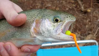 How to Catch More Trout using Power bait Mice Tails