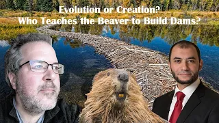 Can Evolution explain Animal Complex Behavior? w/ Cliff Bohm