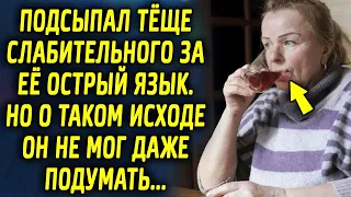 Подсыпал теще слабительного, за ее острый язык, а потом был в шоке от ее поступка…