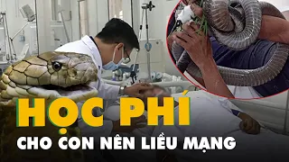 Vụ ôm rắn hổ chúa vào bệnh viện  'Đuổi bắt rắn độc chỉ vì muốn có tiền đóng học phí cho con'