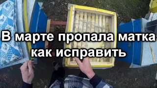 В марте пропала матка, как исправить?