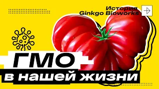 Что такое СИНТЕТИЧЕСКАЯ БИОЛОГИЯ? История Ginkgo Bioworks | Дизрапторы