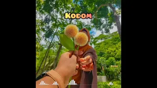 Kodom Slowed And reverb