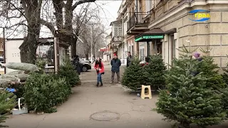 Ялинкові базари на вулицях Одеси