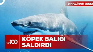 Mısır'da Dehşete Düşüren Olay | Ece Üner ile Tv100 Ana Haber