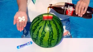 🍉 5 fantastische Ideen für Wassermelonen