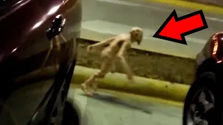 10 Cryptids Caught On Camera