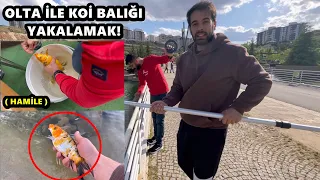 OLTA İLE KOİ BALIĞI YAKALADIK - Böyle Balık Yakalama YOK!