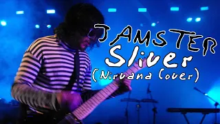 SLIVER (Nirvana Cover Subtitulado)
