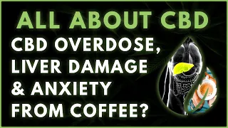 Overdosing on CBD, False Liver Damage Claims & Does Coffee Make You Anxious? | All About CBD