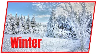 Winter Fairy tale  TV Background Snowy Winter Scenery with Beautiful Jazz Music   Snow Ambiance